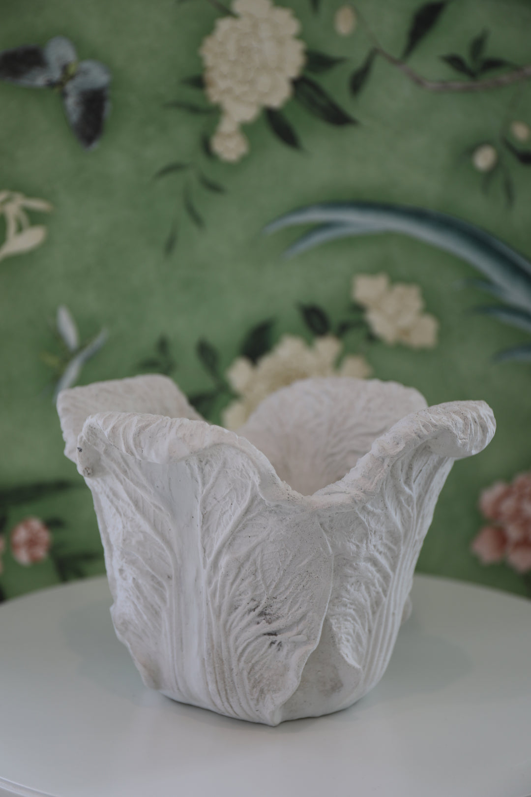 Cabbage Planter