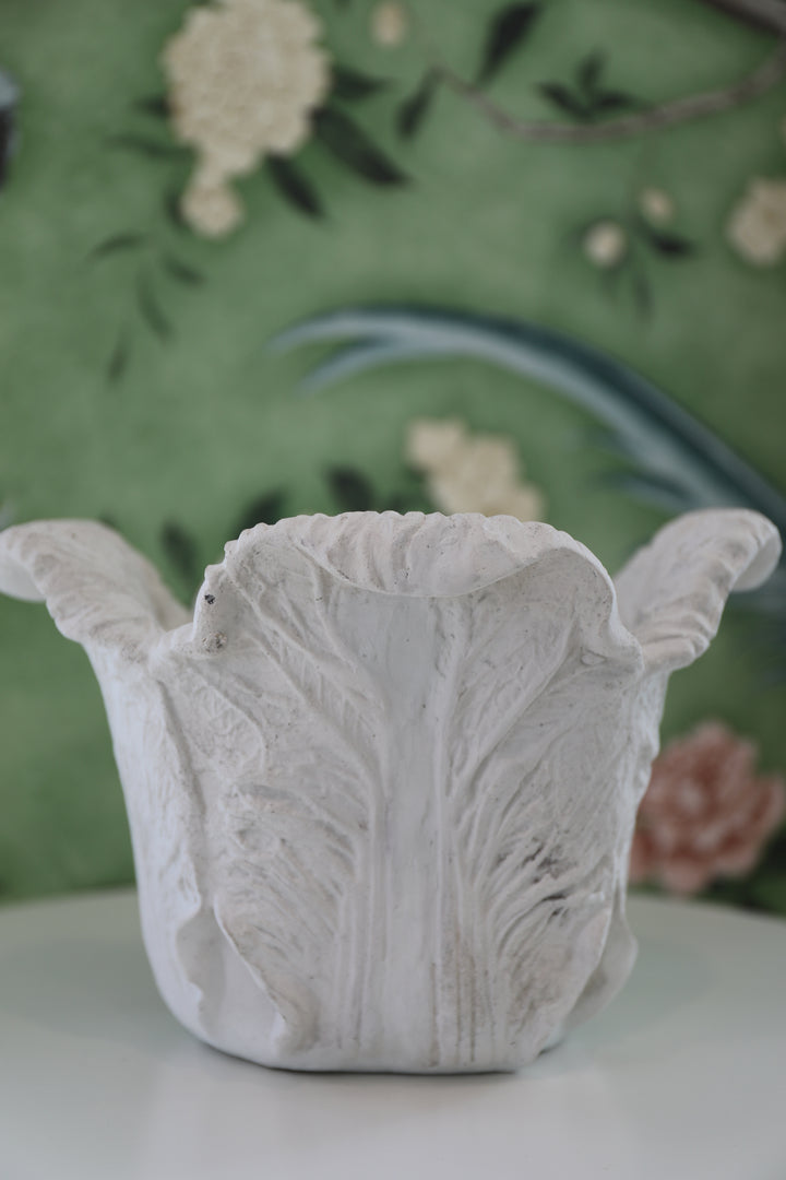 Cabbage Planter
