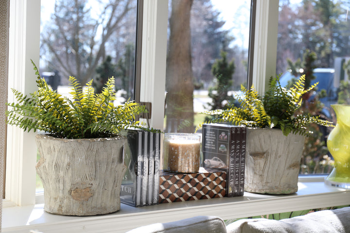 Faux Bois Planter France, c. 1930