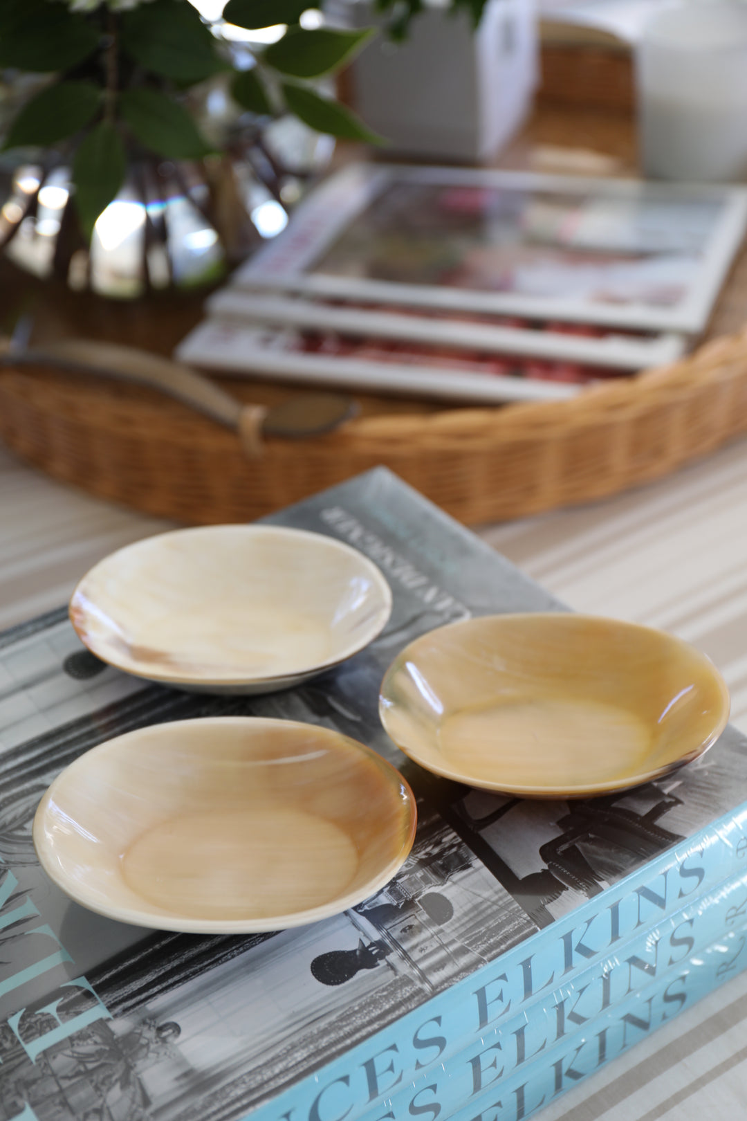 Oval Horn Mini Bowl