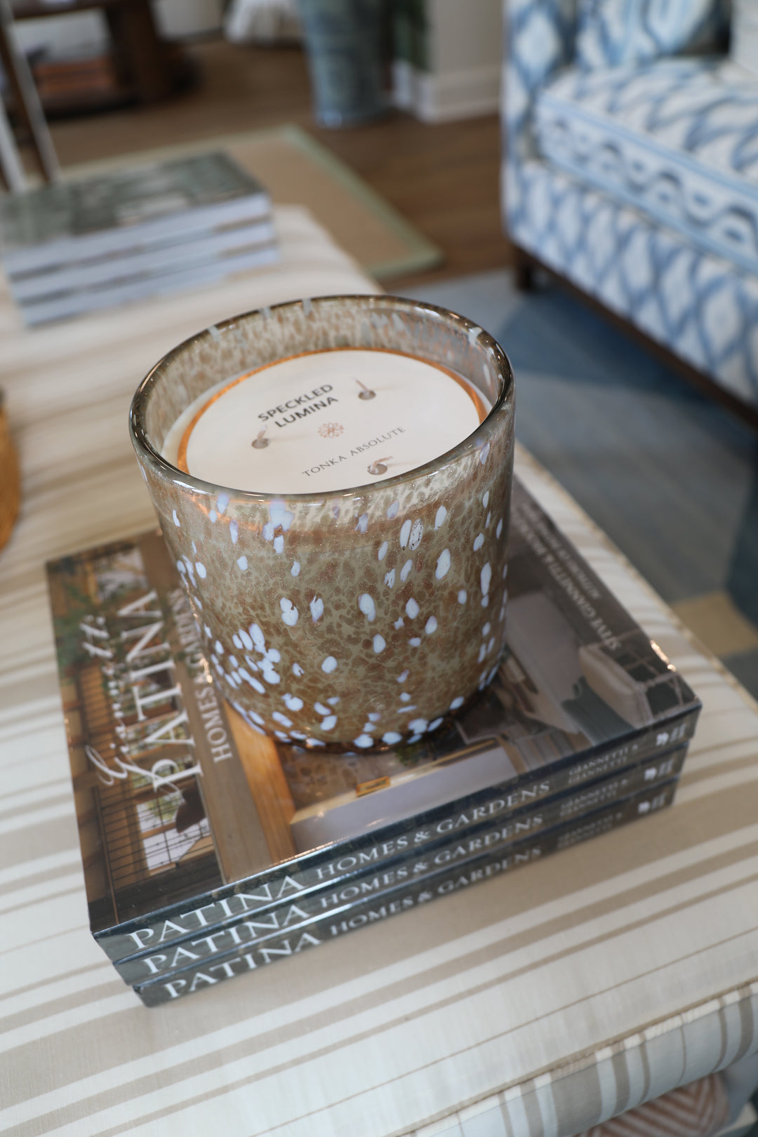 Speckled Tortoise Candle Jar