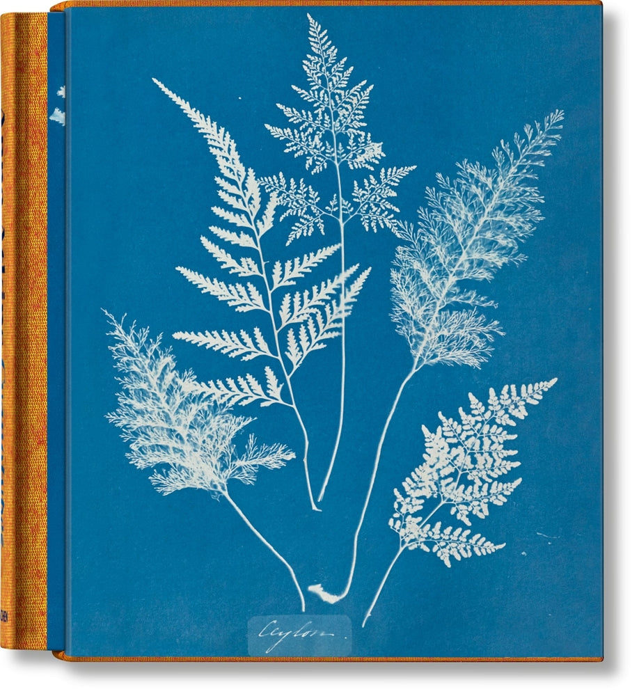 Cyanotypes