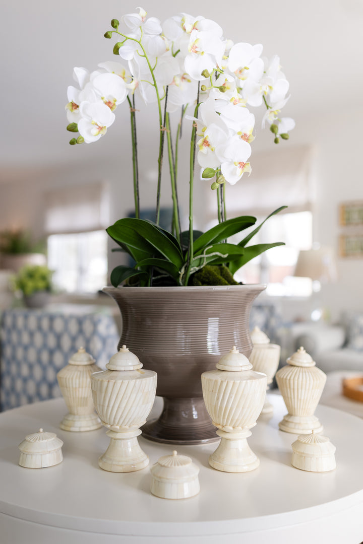 Bone Lidded Jars