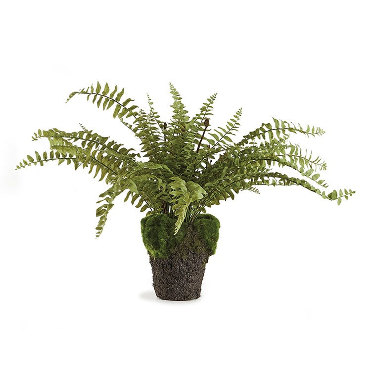 Faux Boston Fern Drop In- Single