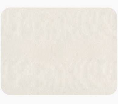 Lizard Placemat (Individual)